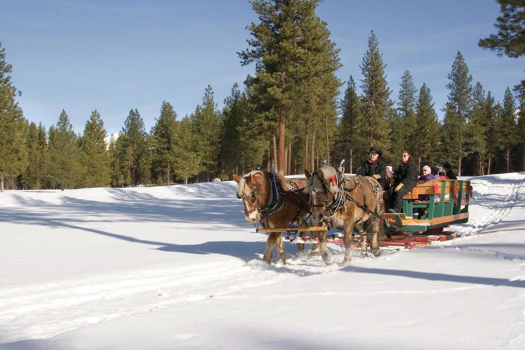 sleigh rides