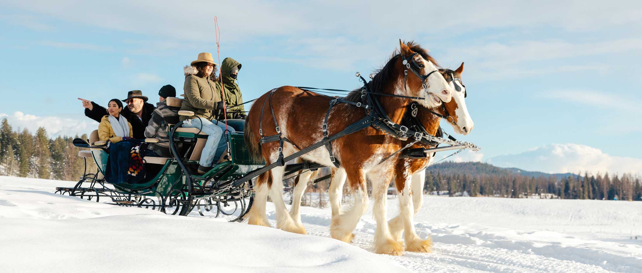 people enjoying a sleigh ride