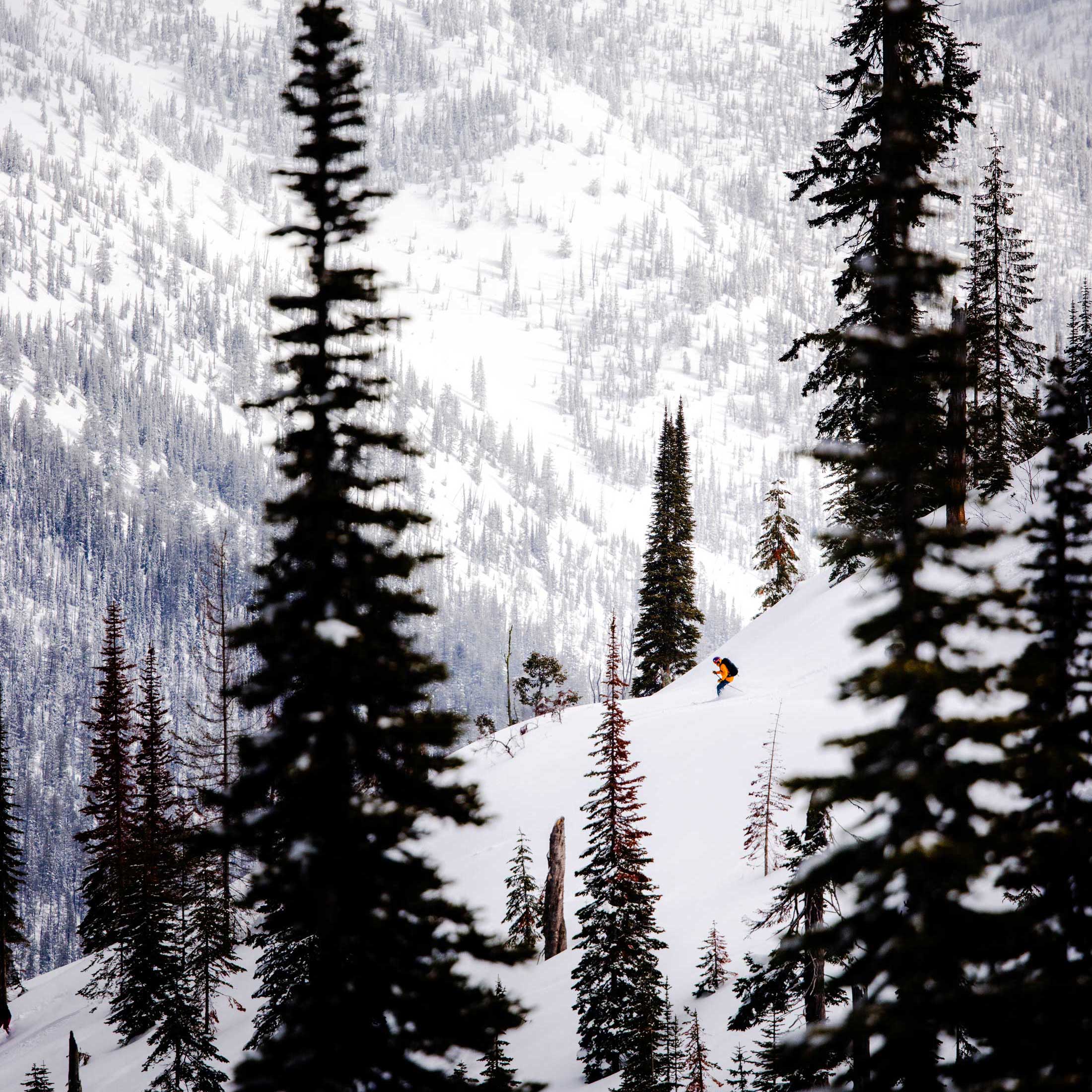 A Day in the White Room, A Lifetime of Memories