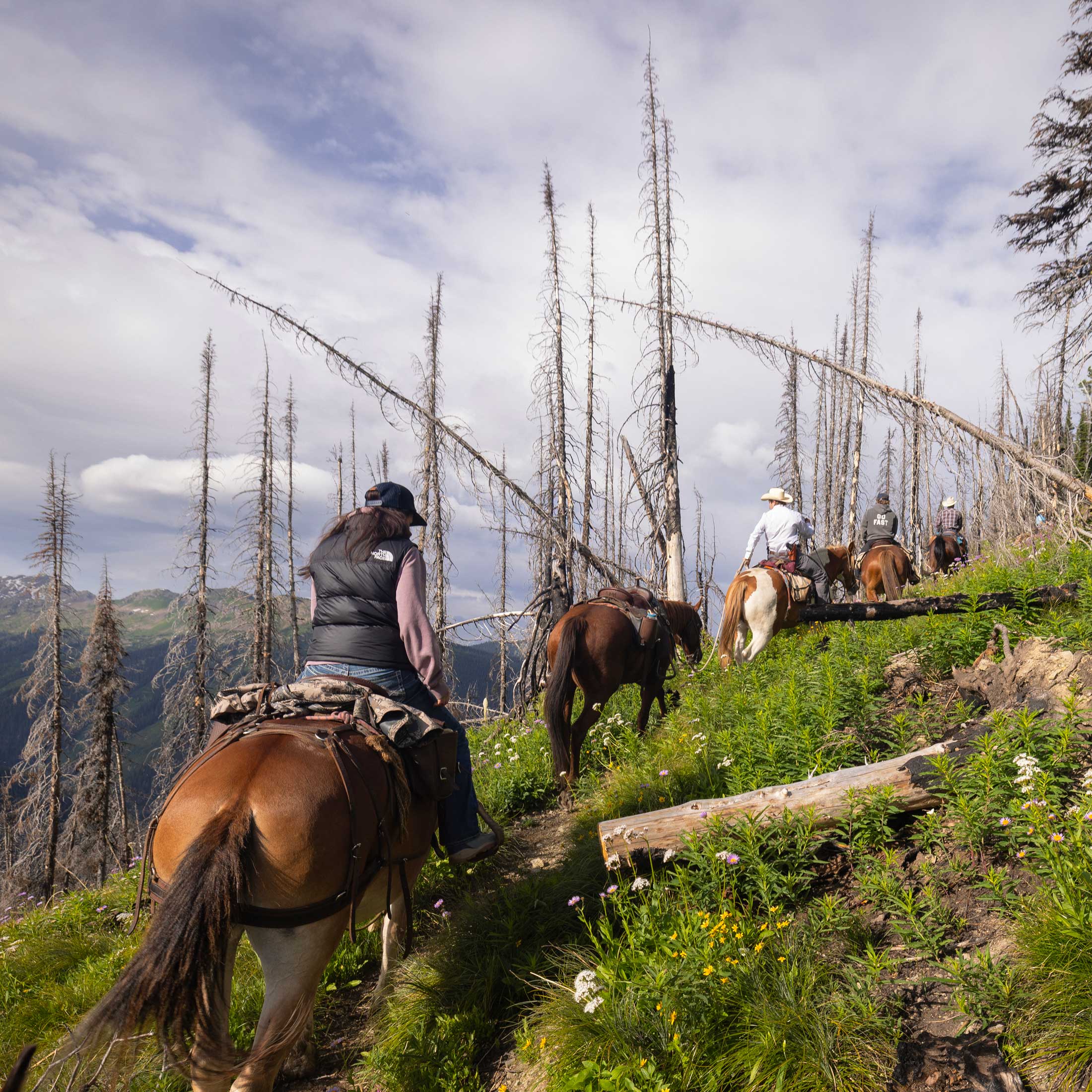 Swan Mountain Outfitters