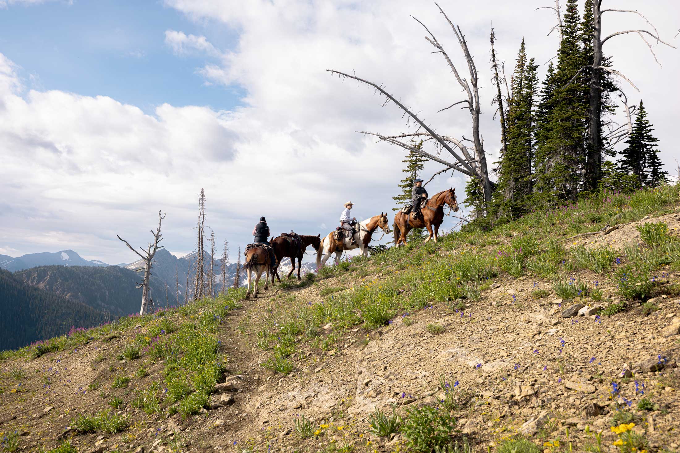 Swan Mountain Outfitters