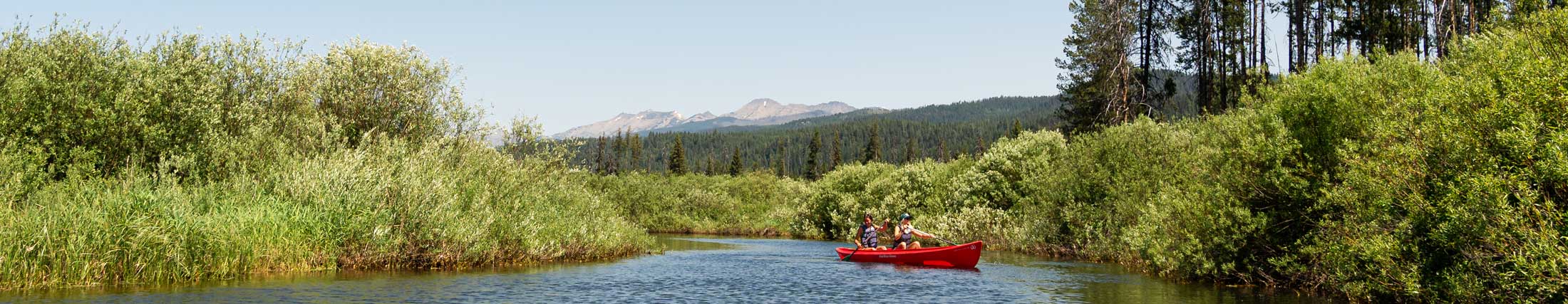 Things To Do in Winter