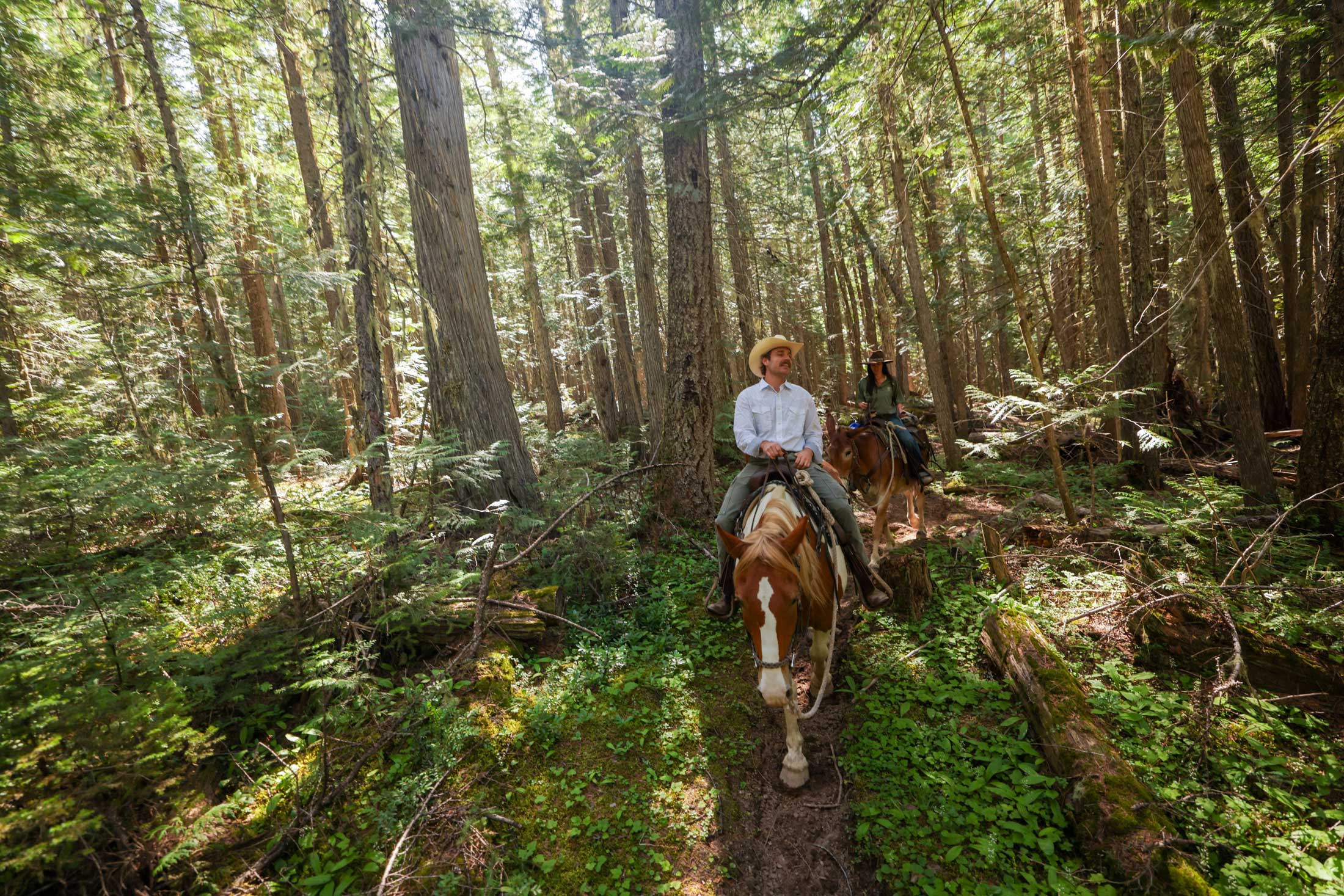 Things to do outdoors