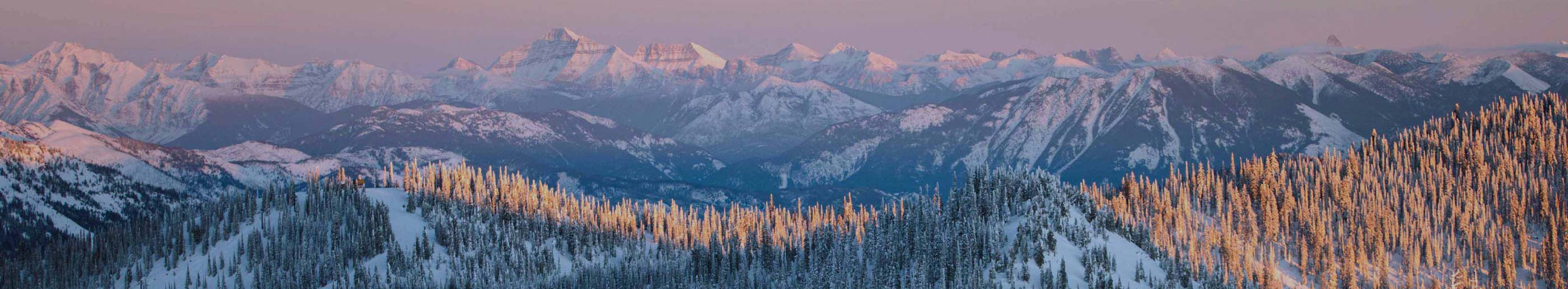 Things To Do in Winter